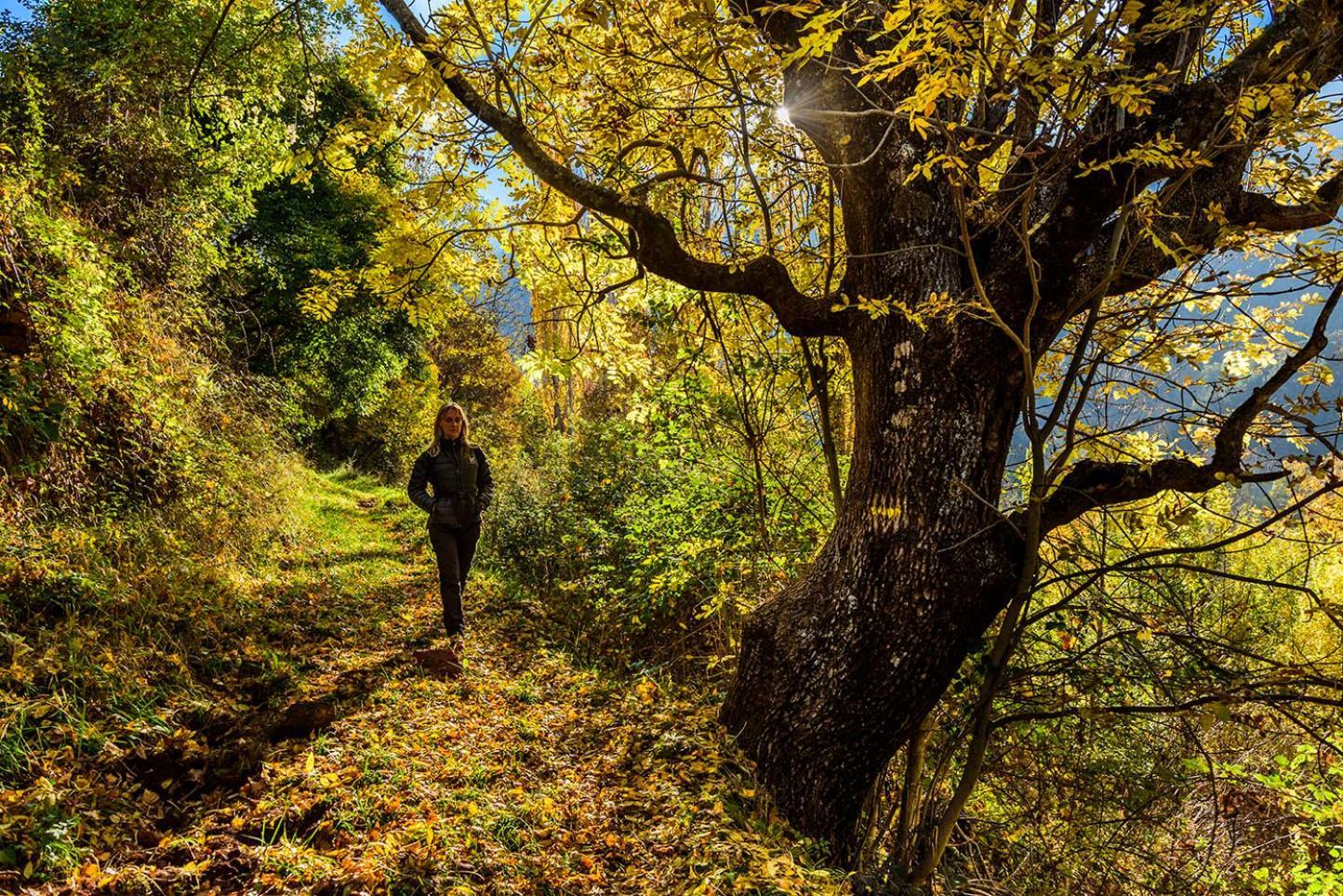 Refugi Rural Vall De Siarb Pansiyon Llagunes Dış mekan fotoğraf